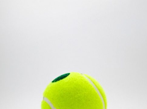 Why Djokovic's Wimbledon Draw Made All Of His Dreams Come True